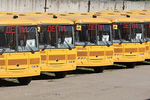 В Пскове средний возраст городских автобусов достиг 14 лет