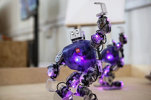 Соревнования по робототехнике пройдут на северо-востоке столицы
