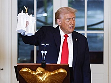 Архитектор Шумаков: Своими сооружениями Трамп нарочито подчеркивает величие