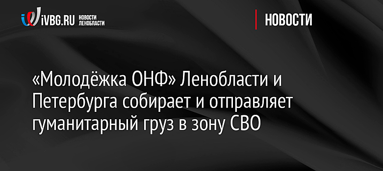 «Молодёжка ОНФ» Ленобласти и Петербурга собирает и отправляет гуманитарный груз в зону СВО