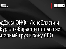 «Молодёжка ОНФ» Ленобласти и Петербурга собирает и отправляет гуманитарный груз в зону СВО