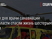 За два дня врачи санавиации Ленобласти спасли жизнь шестерым людям