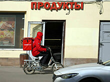 Глава СПЧ призвал запретить курьерскому транспорту ездить по тротуарам