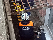 Житель Новосибирска провалился в приямок на улице Ленина