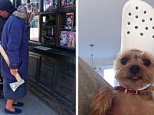 10 фотографий странных ситуаций, которые можно увидеть раз в жизни, но это даже к лучшему