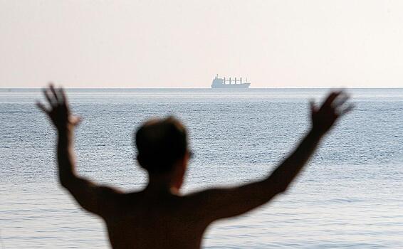 Два грузовых судна идут в украинские порты по временному коридору