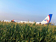 Всего минуту провел в воздухе жестко севший в поле A321