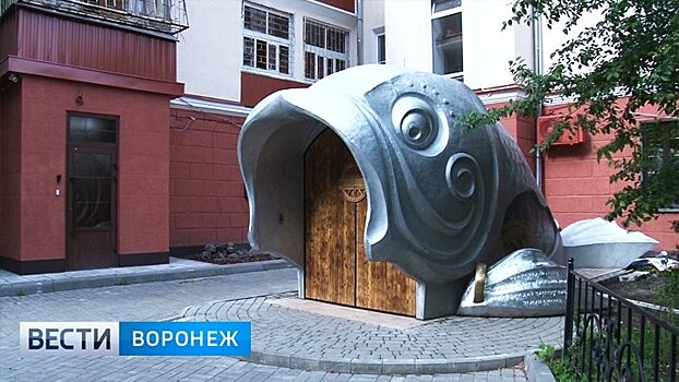 Скандалы 2017 года: архитектор в клетке и «Зарыбление» дома-гармошки