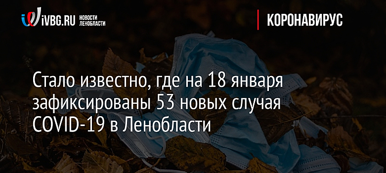 Стало известно, где на 18 января зафиксированы 53 новых случая COVID-19 в Ленобласти