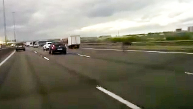 Лось - это правда неожиданно