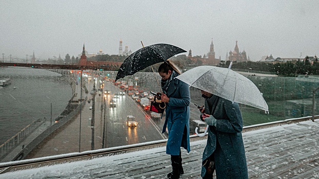 К вечеру воскресенья в Москве может выпасть до 15 см снега