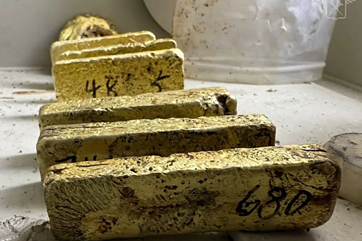 ФТС пресекла попытку контрабанды золотых слитков на Дальнем Востоке