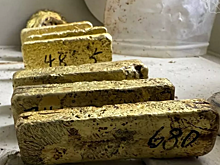 ФТС пресекла попытку контрабанды золотых слитков на Дальнем Востоке