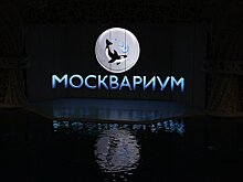 Дело из-за нарушений санитарных мер возбудили в "Москвариуме"