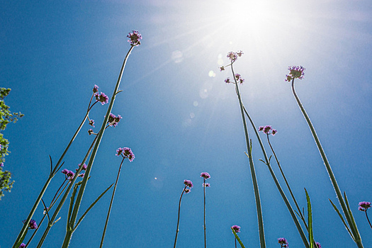 Врач объяснил, как россиянам не получить тепловой удар