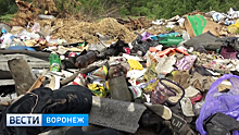 Окрестности воронежского села превратились в мусорную свалку