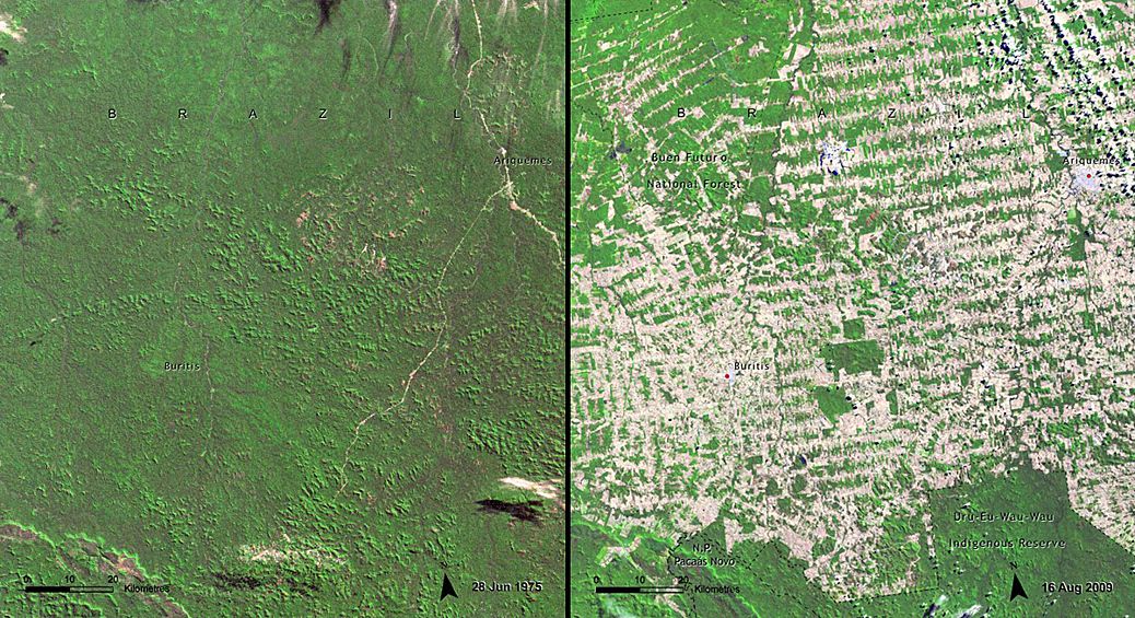 Вырубка тропических лесов в бассейне Амазонки. Основной причиной вырубки лесов Амазонии является расчистка территории под поселения и сельское хозяйство (июнь 1975/август 2009).
