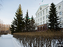 Новые вице-губернаторы ХМАО разъехались по командировкам