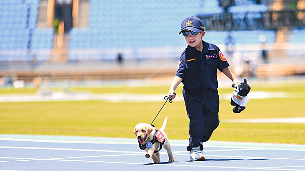 Дай лапу, офицер: первый патруль полицейских щенков на Тайване