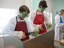 В российские школы вернутся уроки труда