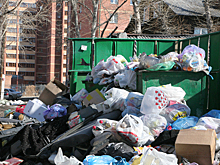 Пьяную жену выбросил на помойку новосибирец