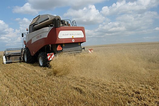 В Крыму собрали один миллион тонн зерна