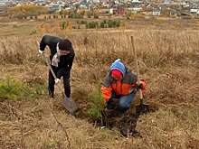 Пензенские экоактивисты продолжают работу в парке «Дружба»