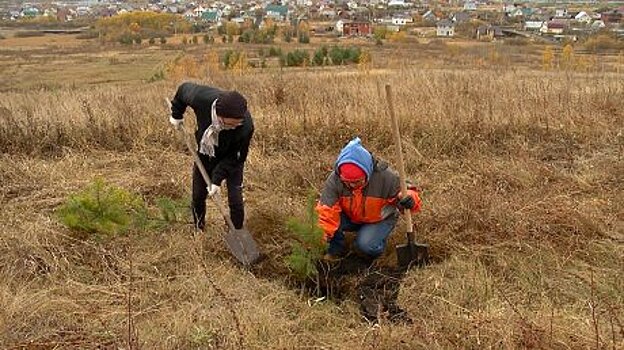 Пензенские экоактивисты продолжают работу в парке «Дружба»