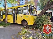 В Екатеринбурге при столкновении автобуса с деревом пострадали шесть человек