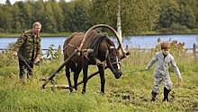 Фильм Кончаловского выйдет во Франции в середине июля