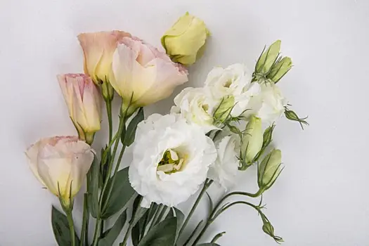 Что нужно посеять на даче уже сейчас