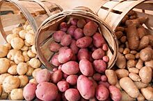 В январе в Петербурге подскочили цены на виноград и картофель