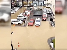 Ливни затопили Мекку и Медину в Саудовской Аравии, разгул стихии сняли на видео