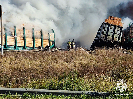 Поезд загорелся после наезда на грузовик в Смоленской области