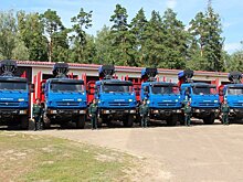 Лесхозы Татарстана получили новую лесозаготовительную технику