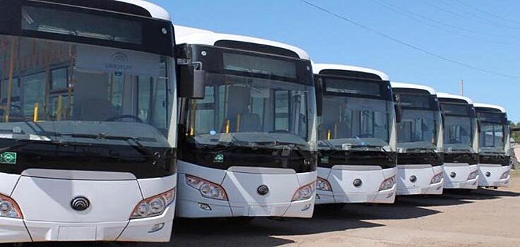 В Хабкрае решили обзавестись государственными автобусами