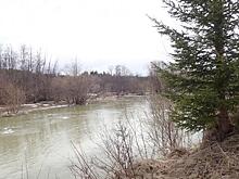 «Живой Шемур»: загрязнение рек на севере Свердловской области не прекращается