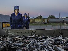 Рыболовы не хотят ценовых индикаторов на свой товар на основе биржевых данных