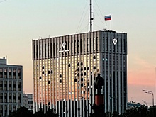 Реестр иноагентов пополнили активистка Курносова и американист Курилла