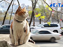 Весна укрепляется в правах в Приморье