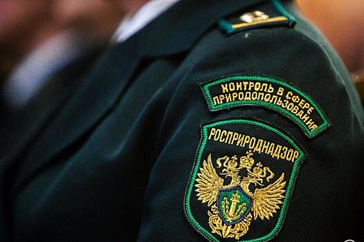 Росприроднадзор дал старт Международной премии «Экология – дело каждого»