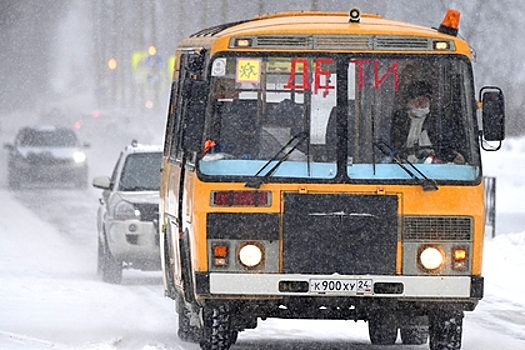В России пожаловались на небезопасные автобусы для перевозки детей