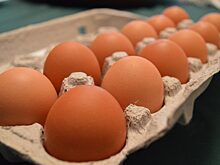 В Курской области зафиксировали рекордное подорожание яиц