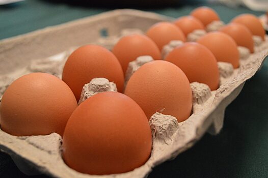 В Курской области зафиксировали рекордное подорожание яиц