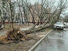 Москвичей предупредили о штормовом ветре 14 марта