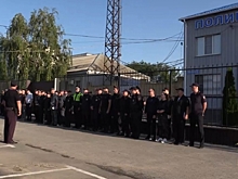 В Волгоградской области провели рейд по выявлению нелегальных мигрантов
