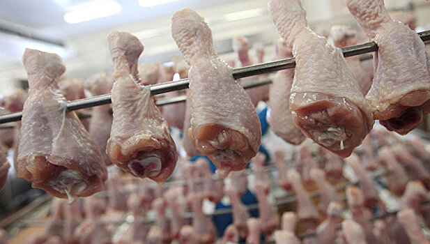 Казахстанские пограничники пресекли провоз крупной партии мяса птицы в РФ