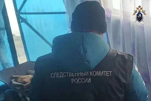 В Приморье мужчина напал на пенсионерку с поленом из-за сережек