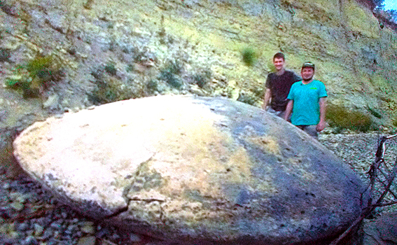 НЛО прилетали на Землю еще 50 млн лет назад