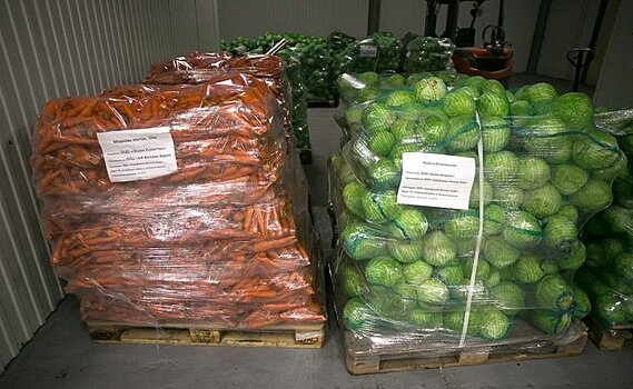 Росстат отметил снижение цен на овощи